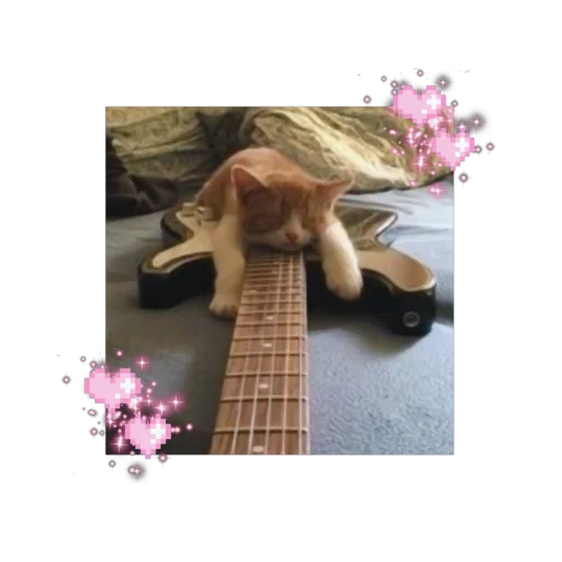 Эмодзи likecats