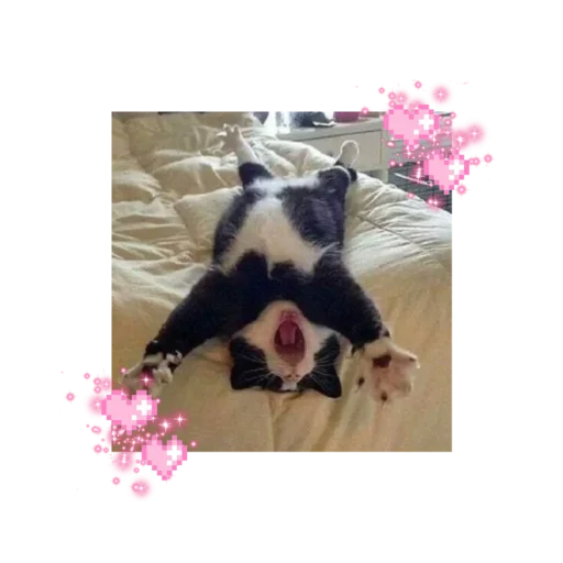 Эмодзи likecats