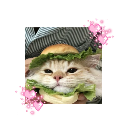 Эмодзи likecats