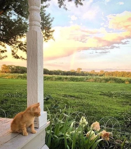 Эмодзи love for aesthetics