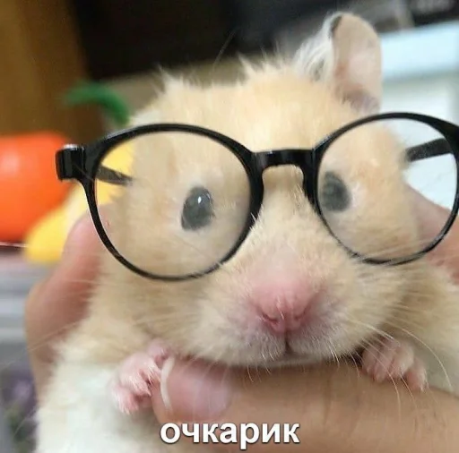 Эмодзи Мышиные мордахи ?