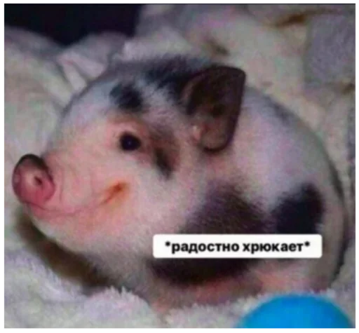 Эмодзи _lizaschka_