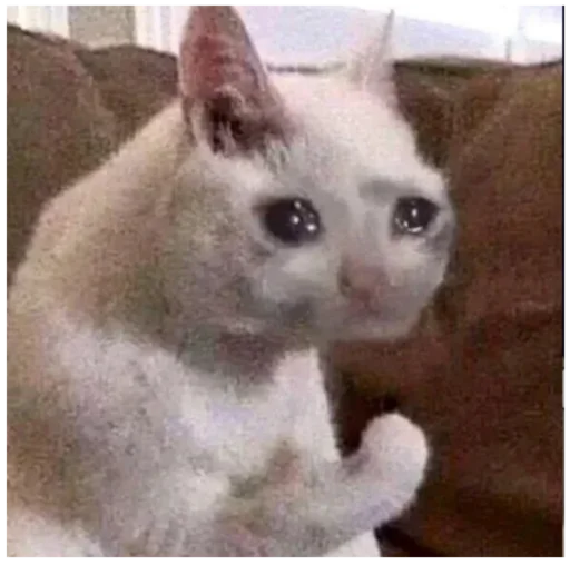 Эмодзи _lizaschka_