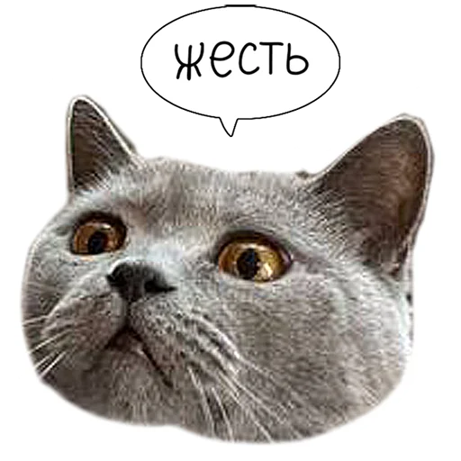 Эмодзи Laksheri_realkotaksheri