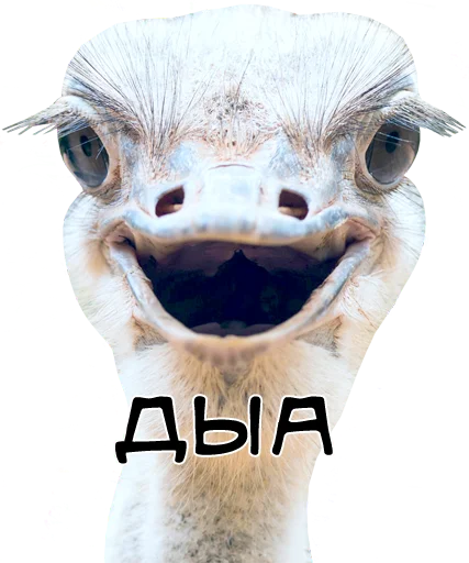 ?