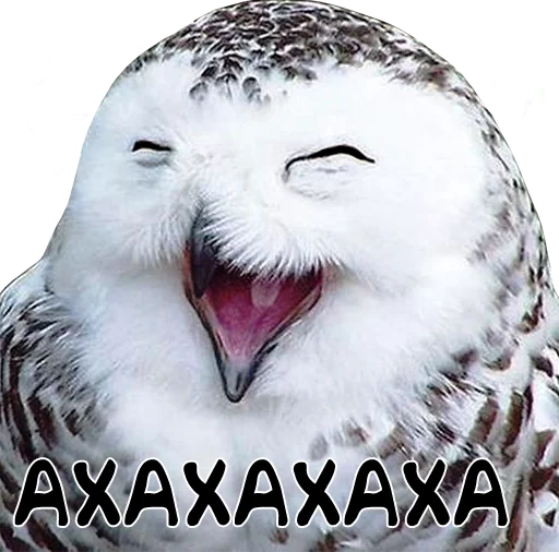 Эмодзи bird memes by loromoin