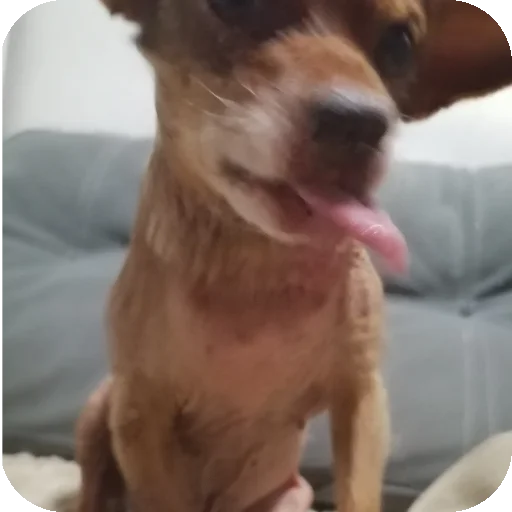 Эмодзи Eight 8⃣