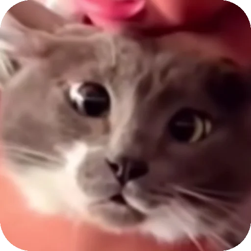 Эмодзи Eight 8⃣