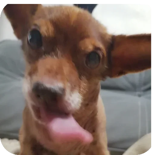 Эмодзи Eight 8⃣