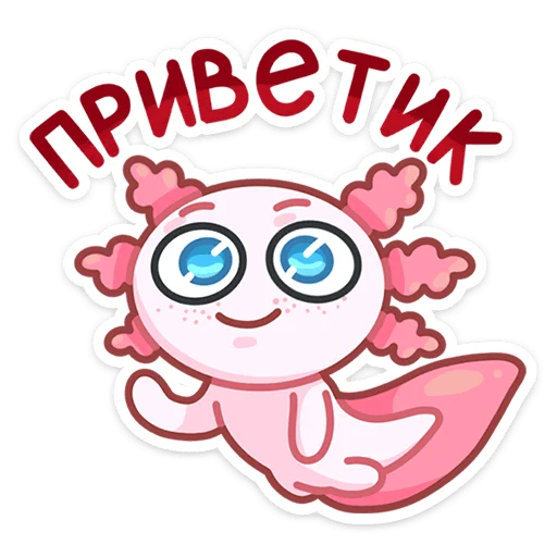 👋