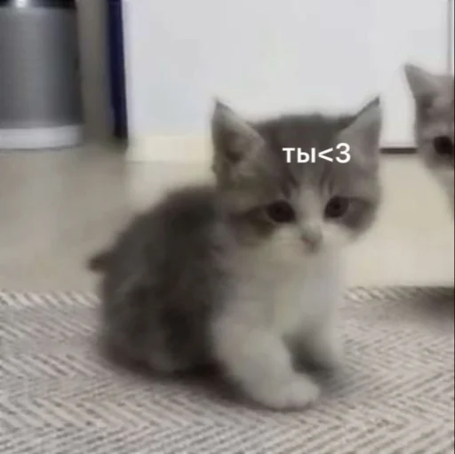 Эмодзи Любви