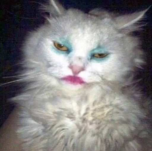 Эмодзи котики