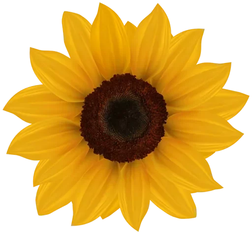 Эмодзи Bouquet