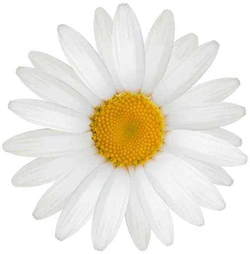 Эмодзи Bouquet