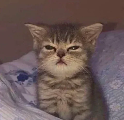 Эмодзи котеки🥺