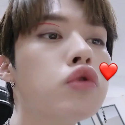 Эмодзи Stray kids