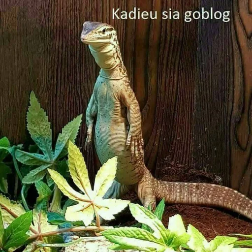 Эмодзи asdfghjkl teraa mood x