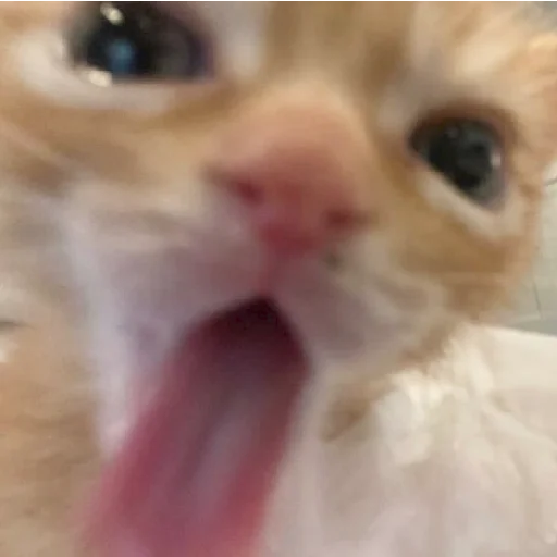 Эмодзи mamatraxer