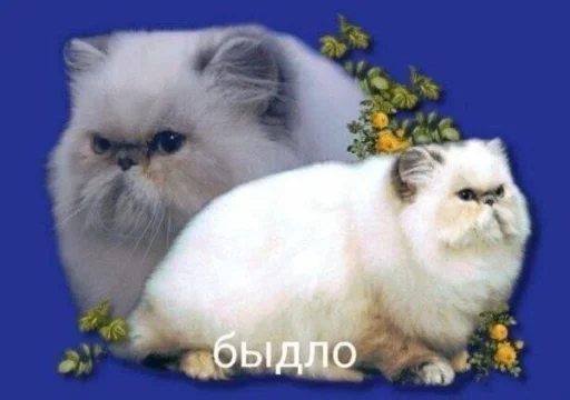 Эмодзи Котики