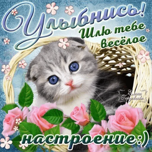 Эмодзи Котики