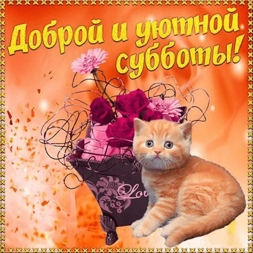 Эмодзи Котики