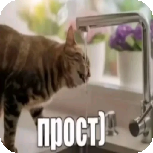 Эмодзи memasiki 1488