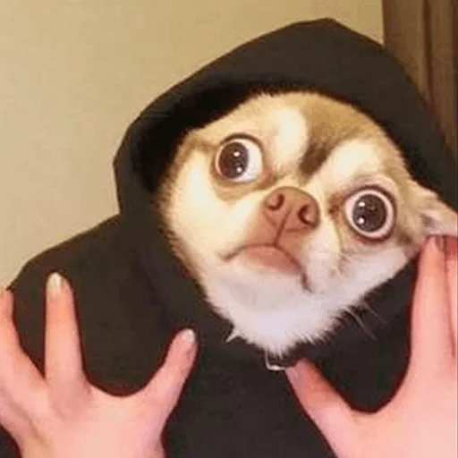 😳