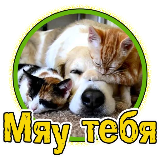 Эмодзи Милые котята