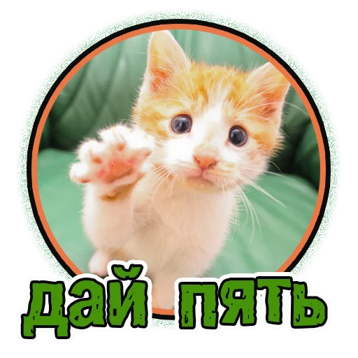 Эмодзи Милые котята