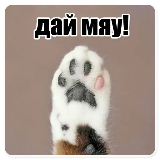 Эмодзи Мемесы