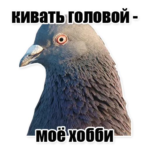 Эмодзи Мемесы