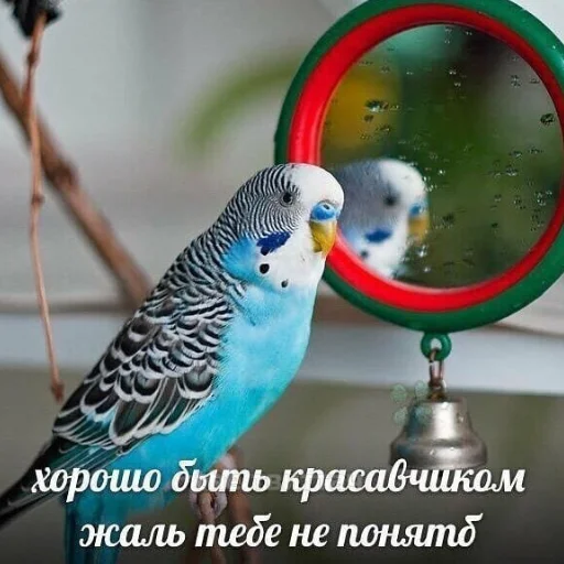 Эмодзи На все случаи жизни