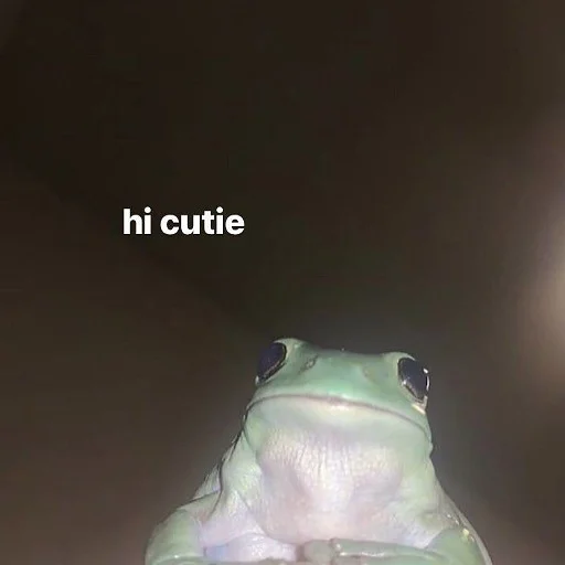Эмодзи коты и мемы
