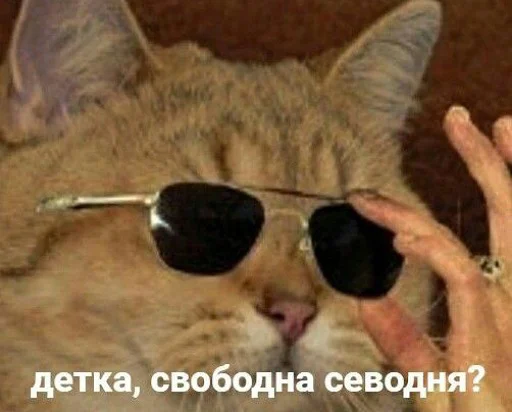 Эмодзи коты и мемы