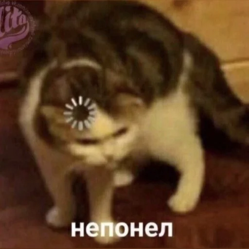 Эмодзи Стикеры WhatsApp