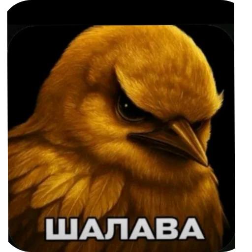 Эмодзи Birds Memes