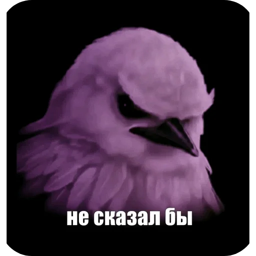 Эмодзи Birds Memes