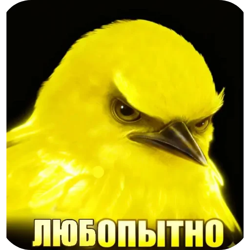 Эмодзи Birds Memes