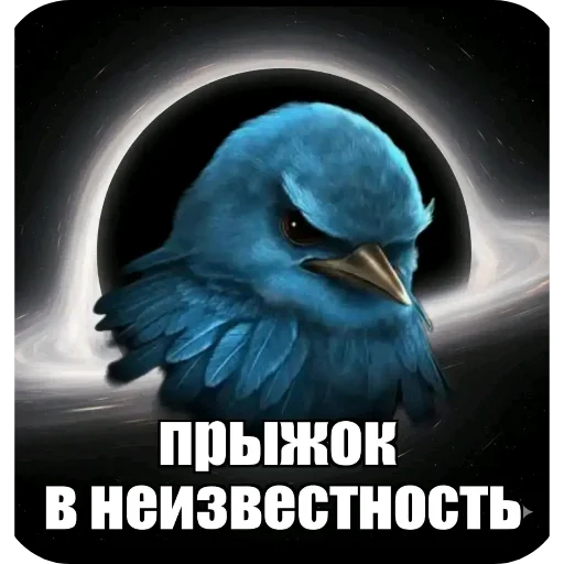 Эмодзи Birds Memes