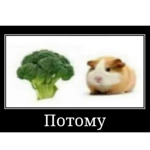 Эмодзи Мемные ПОЧЕМУ