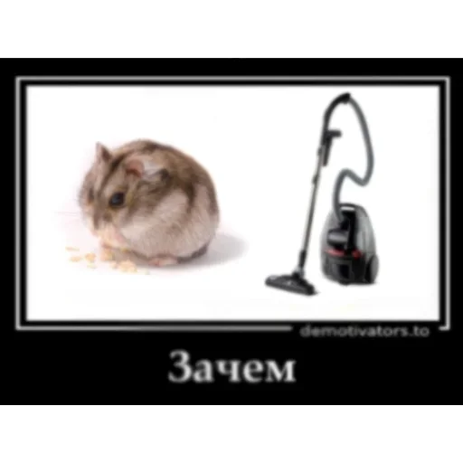 Эмодзи Мемные ПОЧЕМУ