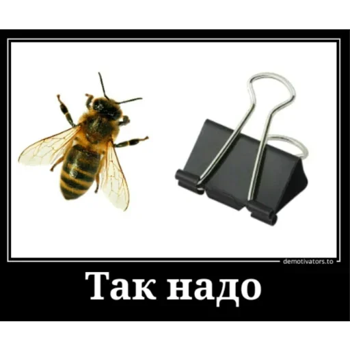 Эмодзи Мемные ПОЧЕМУ