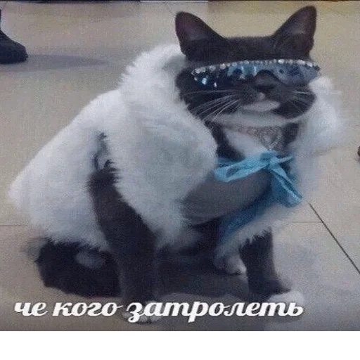 Эмодзи popug mem