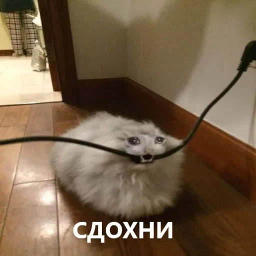 Эмодзи мемчики