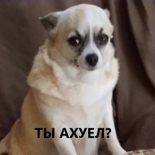 Эмодзи мемчики