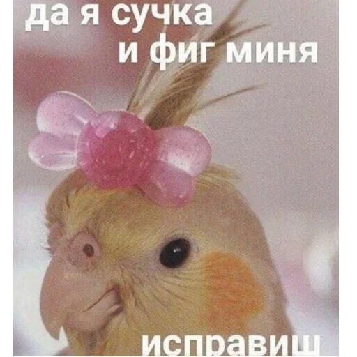 Эмодзи Мемы для АуТиСтОв
