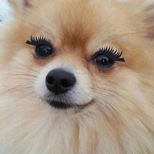 Эмодзи мемные стикеры для тебя