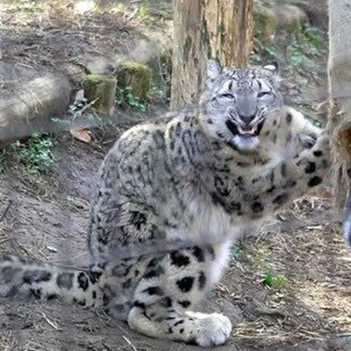 Эмодзи мемные стикеры для тебя