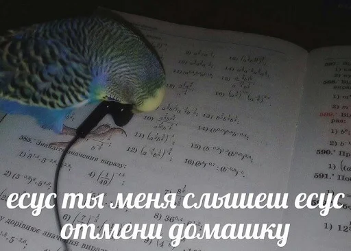 Эмодзи мєми про жівотних