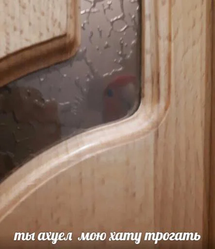 Эмодзи мєми про жівотних